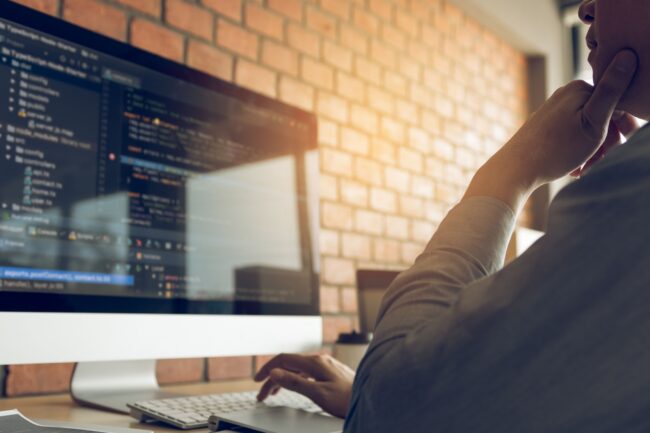 what do seo consultants do ?